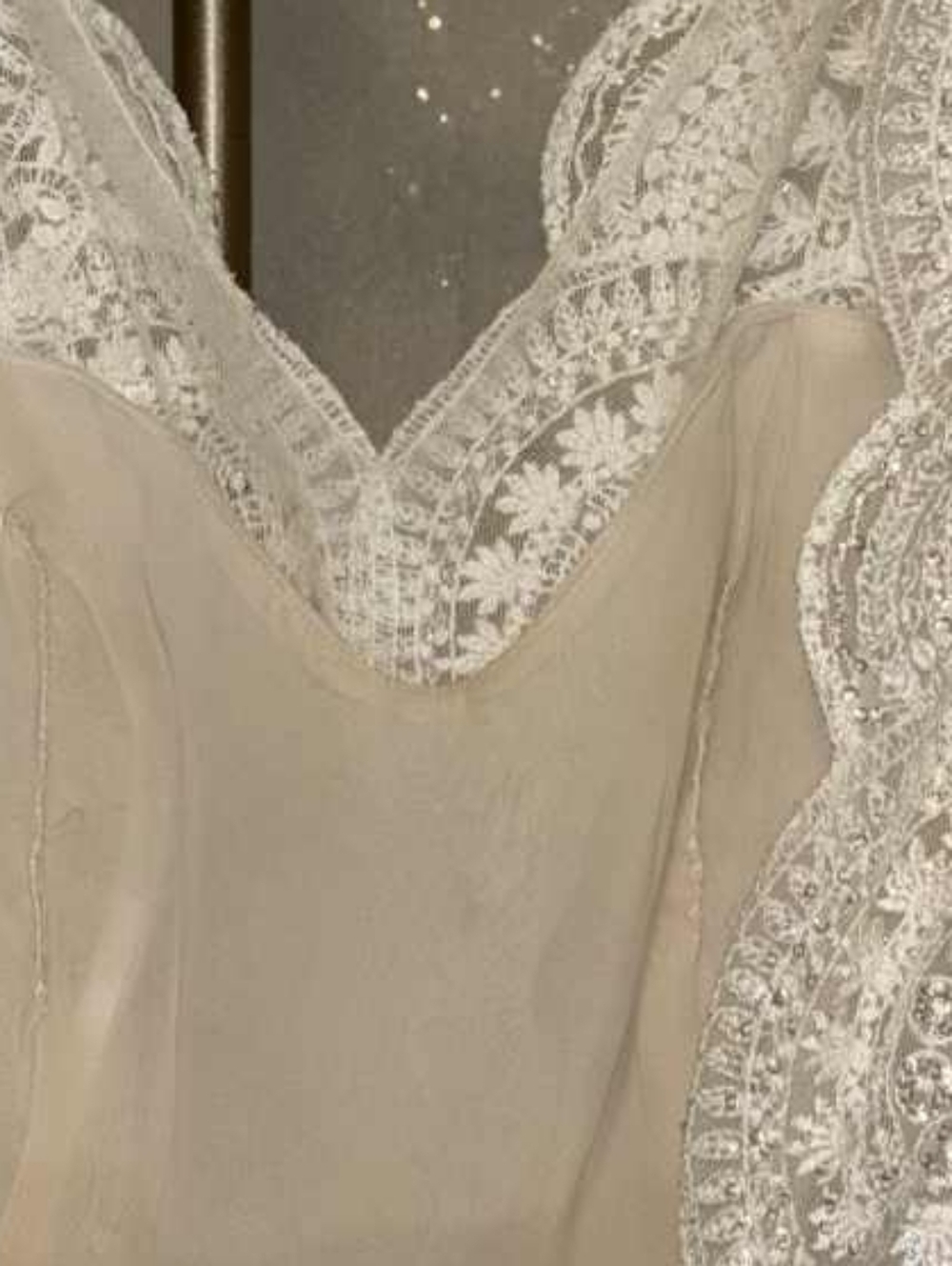 Anne Barge Blue Willow Collection Size 12 Pearl/ivory Lilith Wedding Gown - Picture 8 of 8